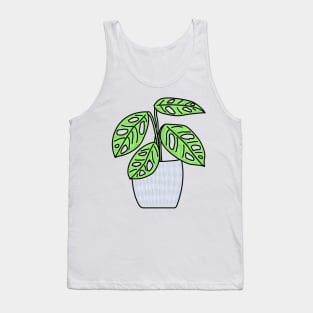 Gatenplant Monstera Obliqua Monkey Leaf Color Tank Top